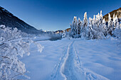 Winterlandschaft mit Skispuren, Oberbayern, Deutschland