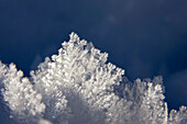 snow crystals, sun, Bavaria, Germany