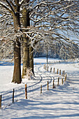 winter scenery with road, Upper Bavaria, Germany