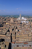 Piazza del Campo and cathedral in background, Siena. Tuscany, Italy
