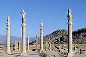 Apadana. Persepolis. Iran.