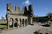 Mellifont Abbey. The Boyne Valley. Co. Louth. Ireland.