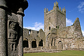 Jerpoint Abbey (1158). Co. Kilkenny. Ireland.