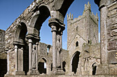 Jerpoint Abbey (1158). Co. Kilkenny. Ireland.