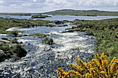 Torrent, near Ahalia Lake. Connemara. Co. Galway. Ireland.