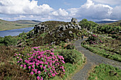 Glenveagh National Park. Co. Donegal. Ireland.