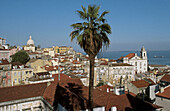 View on Alfama district from Miradouro Santa Luzia, Lisbon. Portugal