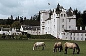 Castle. Blair. Scotland. UK.
