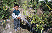 Boy watering seedlings. Alta-Mixteca. Oaxaca. Mexico.