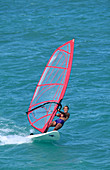 Windsurfing. Hawaii. USA