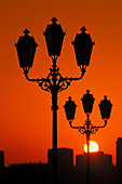 Sunrise and street lamps. Abu Dhabi. United Arab Emirates (UAE)