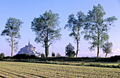 Mont St. Michel, distant view with trees. Normandy. France