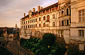 Château de Blois. Façade des Loges. Val-de-Loire. France