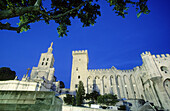 Papal Palace. Avignon. Provence. France