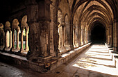 Cloister detail of Saint-Trophime Church. Arles. France