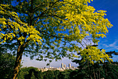 Summer view of north east Paris from the park. France