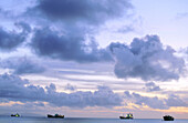 Suva harbour, freighters at sunset. Viti Levu. Fiji