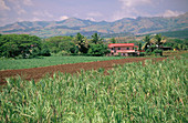Farmhouse by Ba River & sugar cane field. Ba. Viti Levu. Fiji