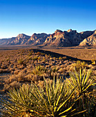 View of the Spring Mountains in the Red Rock Canyon. Nevada. USA