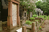 Jewish cementery at the former jewish district of Warsaw. Poland