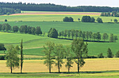 Bohemian fields in springtime. Kamen. South Bohemia. Czech Republic