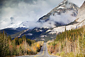 Saskatchewan crossing, icefields parkway (Rt. 93). Banff National Park. Alberta, Canada