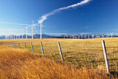 Cowley Ridge wind farm landscape. Crowsnest Pass area. Alberta, Canada