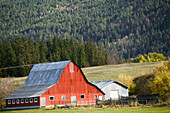 Red barn in autumn. Enderby. British Columbia, Canada