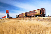 Train and grain elevator, feature of wheat growing prairie landscape. Morse. Saskatchewan, Canada