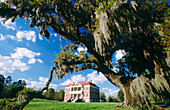 Drayton Hall (built 1738), pre-civil war plantation. Charleston. South Carolina, USA
