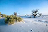 White Sand dunes in the afternoon, White Sands National Monument. New Mexico, USA
