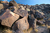 Indian rock carvings (c. 1300 a.D.), Petroglyph National Monument. Albuquerque. New Mexico, USA