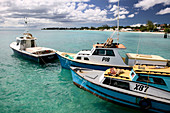 Barbados, Oistins: Oistins Bay View from Commercial Fishing Pier