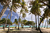 French West Indies (FWI), Guadeloupe, Marie-Galante Island, Capesterre: Plage de la Feuillere Beach
