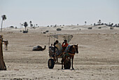 Life in the desert, horse pulling cart, Zaafrane, Sahara, Tunisia, Africa