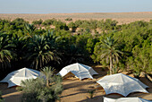 PanSea Ksar Ghilane Campment, Oasis, Sahara, Tunisia, Africa