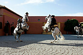 Zwei Männer zu Pferde, Hotel Hacienda La Boticaria, Vega de Alcala de Guadaira, In der Nähe von Sevilla, Andalusien, Spanien, Europa
