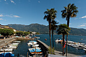 Switzerland, Ticino, Ascona Lago Maggiore little harbour for motor boats