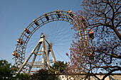 Wien Prater Riesenrad im Fruehling