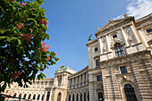 Vienna Museum of ethnology and National Library