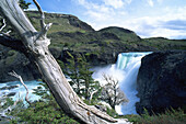 Torres del Paine National Park. Patagonia. Chile