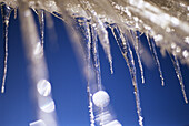 Icicles