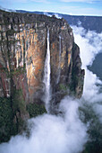 Angel Falls. Canaima National Park. Venezuela