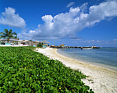 San Pedro. Ambergris Caye. Belize