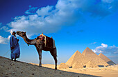 Pyramids of Gizeh. Cairo. Egypt