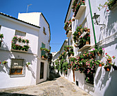 Priego de Cordoba. Andalusia. Spain