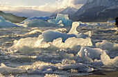 Parque Nacional Torres del Paine. Chile