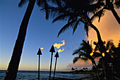Tiki torches. Hawaii