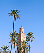 Mosque Tower. Marrakech. Morocco