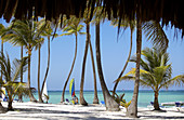 Punta Cana. Dominican Republic. West Indies. Caribbean